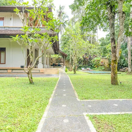 Ruben Villa Ubud - 4 Bedrooms Jungle Home-3