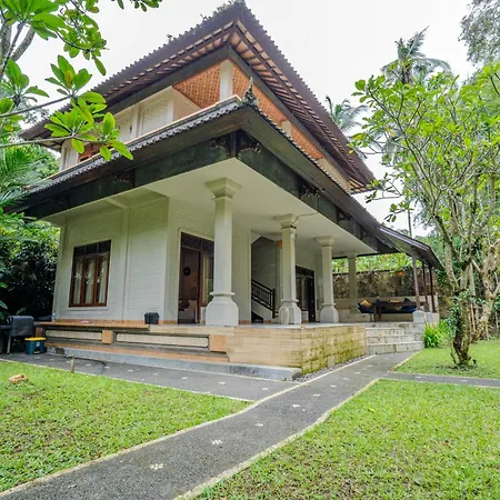 Ruben Villa Ubud - 4 Bedrooms Jungle Home-2